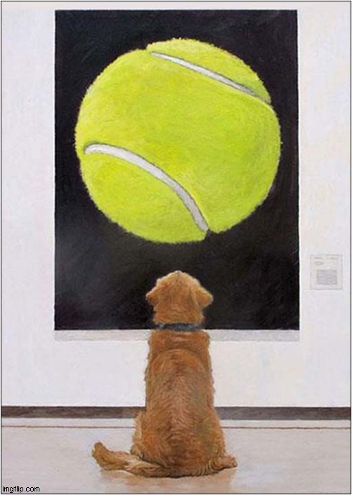 Art Appreciation ! | image tagged in dogs,art,appreciation | made w/ Imgflip meme maker