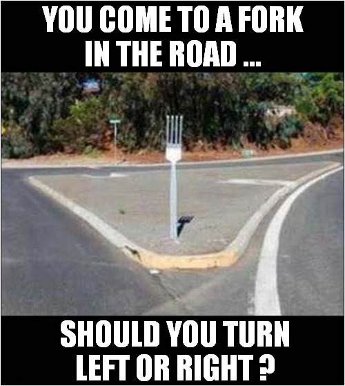 Decisions, Decisions ! | YOU COME TO A FORK
IN THE ROAD ... SHOULD YOU TURN
LEFT OR RIGHT ? | image tagged in decisions decisions,fork,left,right | made w/ Imgflip meme maker