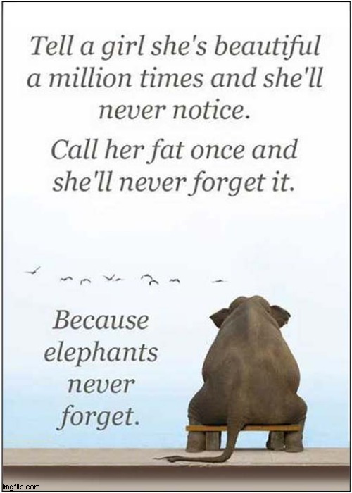 Compliment, Insult, Compliment ! | image tagged in compliment,insult,elephants,dark humour | made w/ Imgflip meme maker