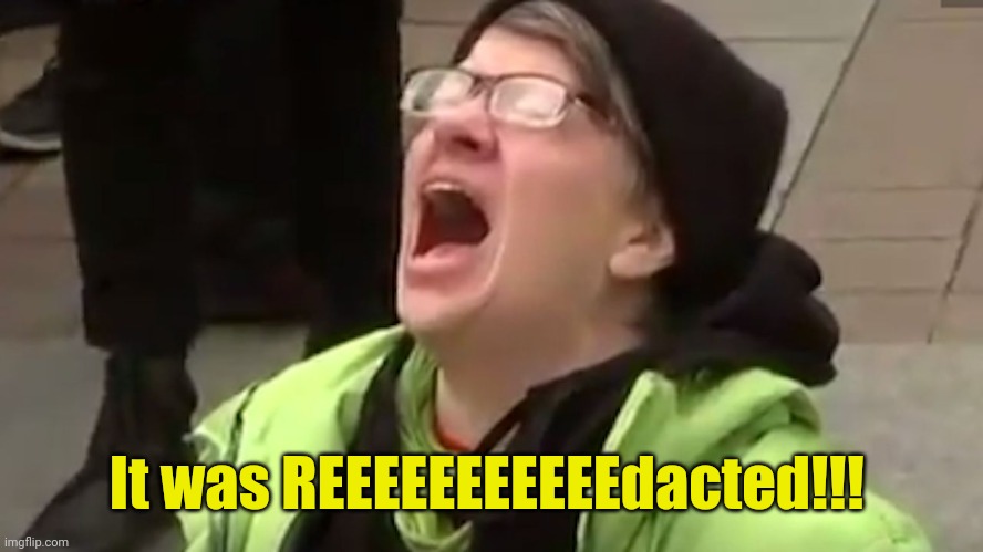 Screaming Liberal  | It was REEEEEEEEEEEdacted!!! | image tagged in screaming liberal | made w/ Imgflip meme maker