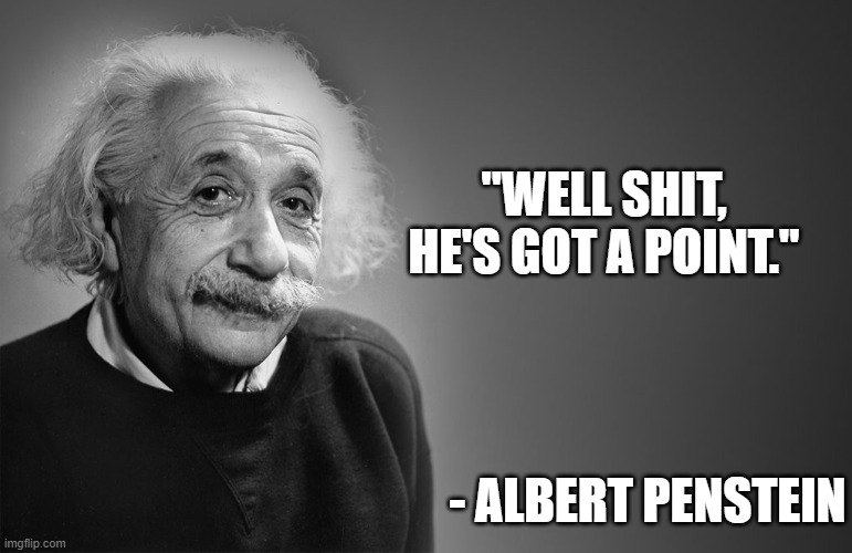 "WELL SHIT, HE'S GOT A POINT." - ALBERT PENSTEIN | image tagged in albert einstein quotes | made w/ Imgflip meme maker