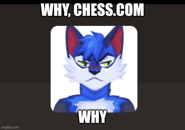 WHY, CHESS.COM; WHY | made w/ Imgflip meme maker