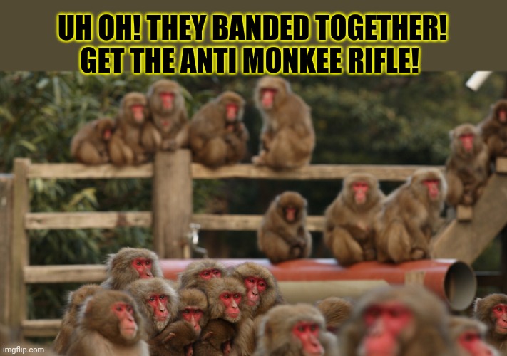 F'ing monkeys | UH OH! THEY BANDED TOGETHER! GET THE ANTI MONKEE RIFLE! | image tagged in f ing,monkeys,get the gun | made w/ Imgflip meme maker