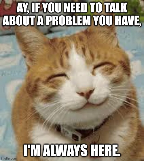 Happy cat | AY, IF YOU NEED TO TALK ABOUT A PROBLEM YOU HAVE, I'M ALWAYS HERE. | image tagged in happy cat | made w/ Imgflip meme maker