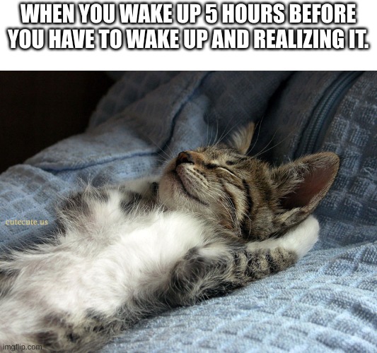 so satiysting :) | WHEN YOU WAKE UP 5 HOURS BEFORE YOU HAVE TO WAKE UP AND REALIZING IT. | image tagged in sleeping cat | made w/ Imgflip meme maker