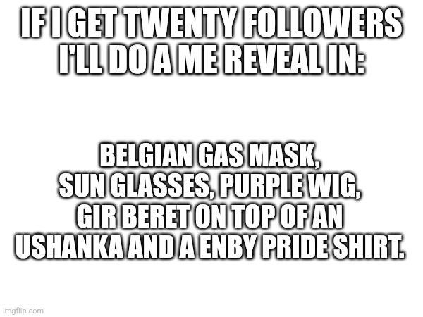 My head will hurt | IF I GET TWENTY FOLLOWERS I'LL DO A ME REVEAL IN:; BELGIAN GAS MASK, SUN GLASSES, PURPLE WIG, GIR BERET ON TOP OF AN USHANKA AND A ENBY PRIDE SHIRT. | image tagged in reveal | made w/ Imgflip meme maker