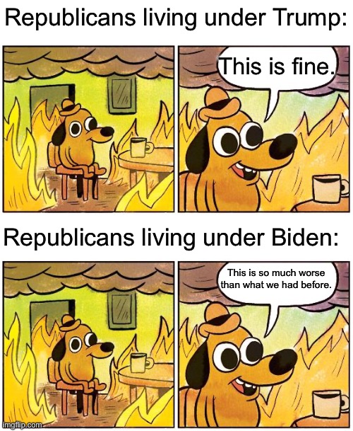 Republicans living under Trump:; This is fine. Republicans living under Biden:; This is so much worse than what we had before. | image tagged in this is fine blank,donald trump,joe biden,election 2024 | made w/ Imgflip meme maker