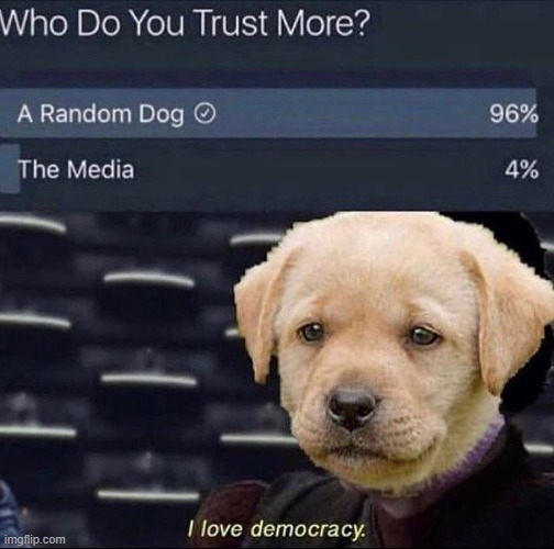 Surpriesd media got even 4% | image tagged in memes,funny,lol,bruh | made w/ Imgflip meme maker