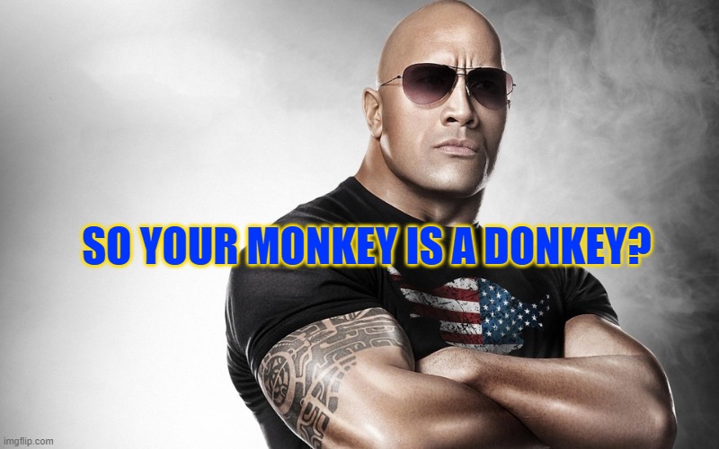 dwayne johnson | SO YOUR MONKEY IS A DONKEY? | image tagged in dwayne johnson | made w/ Imgflip meme maker