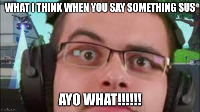 stuff | WHAT I THINK WHEN YOU SAY SOMETHING SUS; AYO WHAT!!!!!! | image tagged in picture | made w/ Imgflip meme maker