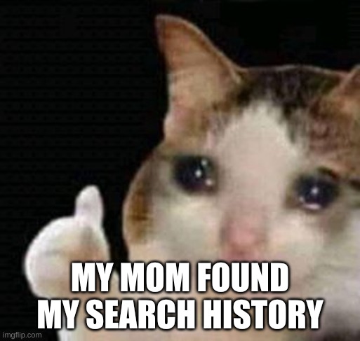 :( | MY MOM FOUND MY SEARCH HISTORY | image tagged in sad thumbs up cat | made w/ Imgflip meme maker