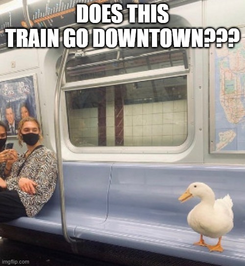 Subway Duck | DOES THIS TRAIN GO DOWNTOWN??? | image tagged in ducks | made w/ Imgflip meme maker