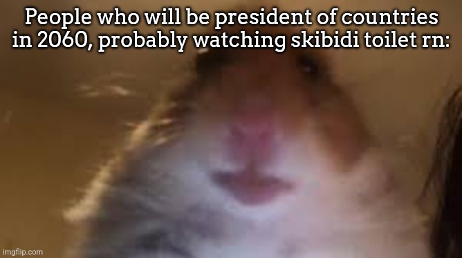 facetime hamster | People who will be president of countries in 2060, probably watching skibidi toilet rn: | image tagged in facetime hamster | made w/ Imgflip meme maker