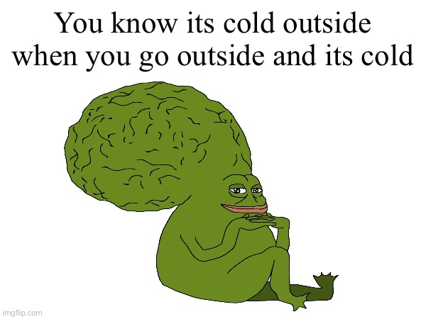 Big brain ye | You know its cold outside when you go outside and its cold | image tagged in brain,memes,funny | made w/ Imgflip meme maker