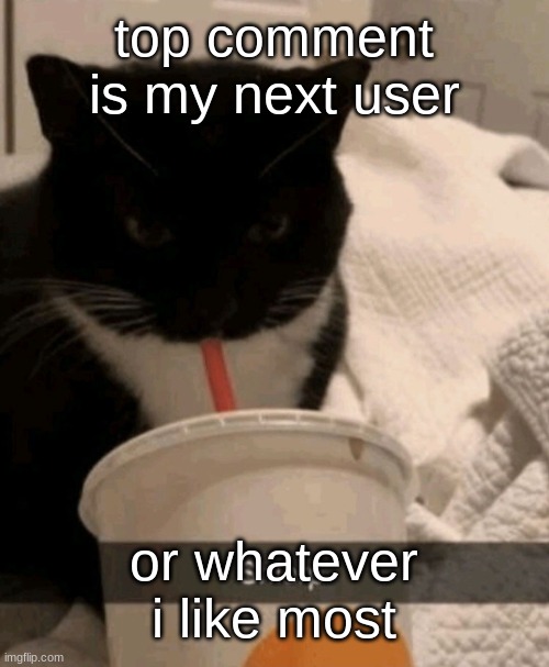 Shlerp | top comment is my next user; or whatever i like most | image tagged in shlerp | made w/ Imgflip meme maker
