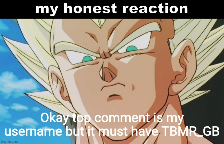 Yuh | Okay top comment is my username but it must have TBMR_GB | image tagged in vegeta my honest reaction | made w/ Imgflip meme maker