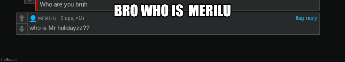 Who is merilu | BRO WHO IS  MERILU | image tagged in memes,lol,merilu,memer,loller | made w/ Imgflip meme maker