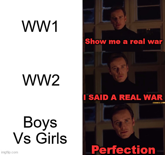 Perfection | WW1; Show me a real war; WW2; I SAID A REAL WAR; Boys Vs Girls; Perfection | image tagged in perfection | made w/ Imgflip meme maker