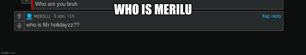MEMES | WHO IS MERILU | image tagged in memes,lol,balloon,memer,loller,fun | made w/ Imgflip meme maker