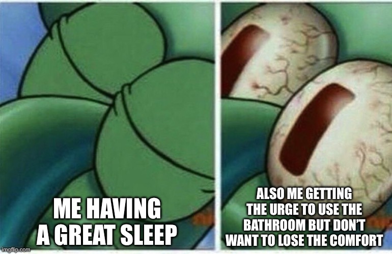 Squidward | ME HAVING A GREAT SLEEP ALSO ME GETTING THE URGE TO USE THE BATHROOM BUT DON’T WANT TO LOSE THE COMFORT | image tagged in squidward | made w/ Imgflip meme maker
