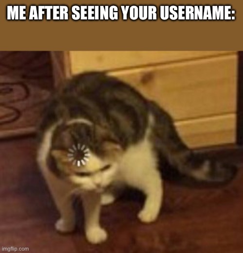 Loading cat | ME AFTER SEEING YOUR USERNAME: | image tagged in loading cat | made w/ Imgflip meme maker