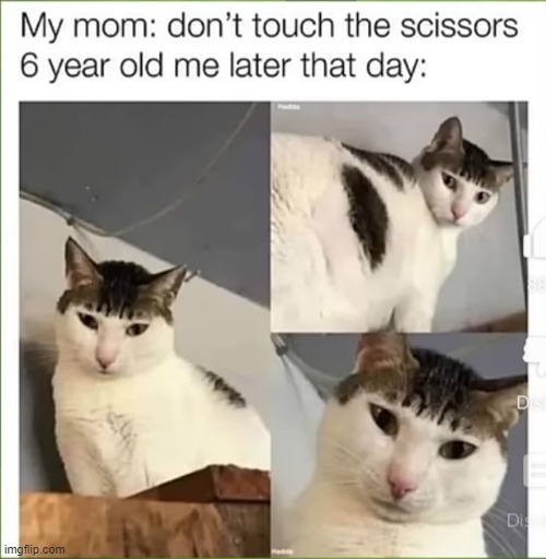 my little sister did this once.... lets just say that the results were not so great | image tagged in memes,relatable | made w/ Imgflip meme maker
