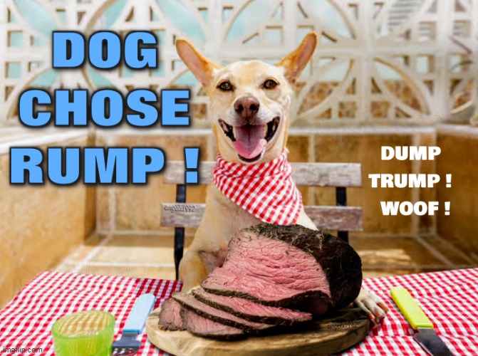 image tagged in dog,god,clown car republicans,maga morons,dump trump,dogs | made w/ Imgflip meme maker