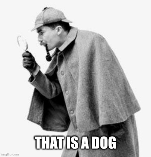 detective | THAT IS A DOG | image tagged in detective | made w/ Imgflip meme maker