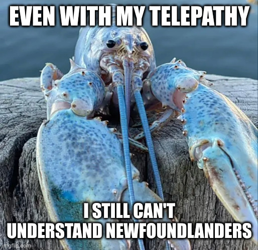 Blue Lobster versus the Newfoundlander accent | EVEN WITH MY TELEPATHY; I STILL CAN'T UNDERSTAND NEWFOUNDLANDERS | image tagged in the blue lobster,newfoundlander,newfoundland,memes,canada,i love your accent | made w/ Imgflip meme maker