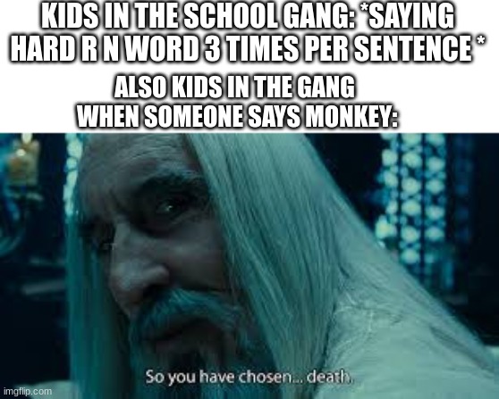 So you have chosen death, eh? | KIDS IN THE SCHOOL GANG: *SAYING HARD R N WORD 3 TIMES PER SENTENCE *; ALSO KIDS IN THE GANG  WHEN SOMEONE SAYS MONKEY: | image tagged in so you have chosen death eh,school,gandalf,gang | made w/ Imgflip meme maker