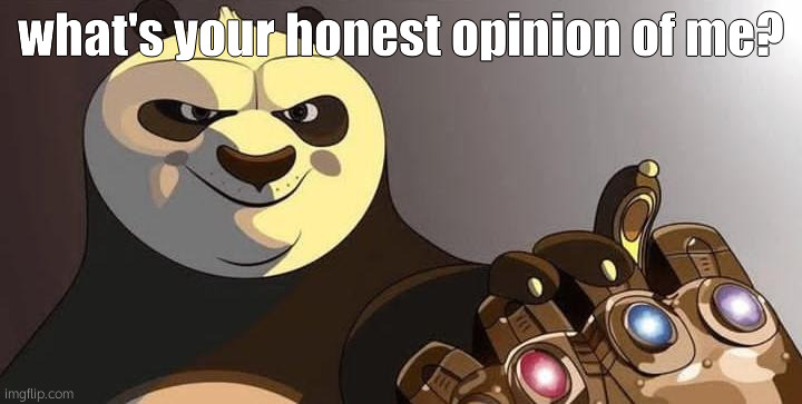 po | what's your honest opinion of me? | image tagged in po | made w/ Imgflip meme maker