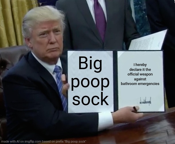 XD XD XD WTH IS THIS!?!?!?!? | Big poop sock; I hereby declare it the official weapon against bathroom emergencies | image tagged in memes,trump bill signing,poop,sock,it's okay it will be fun | made w/ Imgflip meme maker