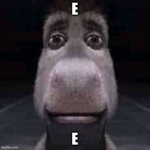 Donkey staring | E E | image tagged in donkey staring | made w/ Imgflip meme maker