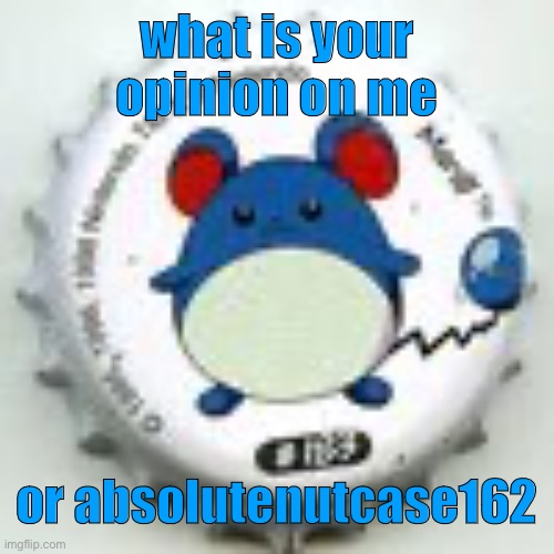 Marill 11 | what is your opinion on me; or absolutenutcase162 | image tagged in marill 11 | made w/ Imgflip meme maker