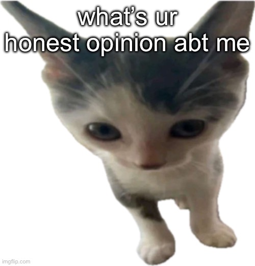 bartholomäus gilbert jr | what’s ur honest opinion abt me | image tagged in bartholom us gilbert jr | made w/ Imgflip meme maker