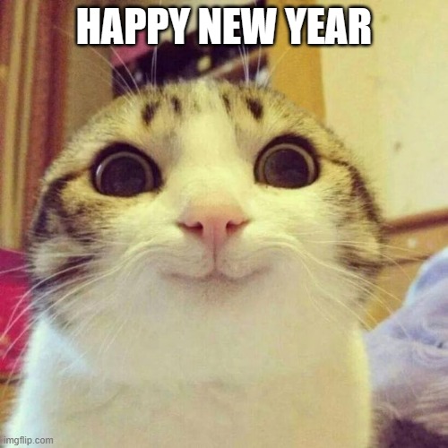Smiling Cat Meme | HAPPY NEW YEAR | image tagged in memes,smiling cat | made w/ Imgflip meme maker