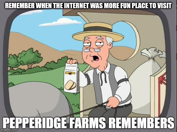 the Internet is now a really dangerous place | REMEMBER WHEN THE INTERNET WAS MORE FUN PLACE TO VISIT | image tagged in pepperidge farms remembers | made w/ Imgflip meme maker