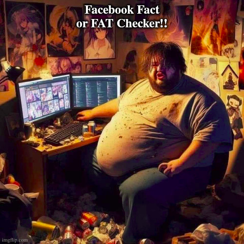 Facebook Fact Checker | Facebook Fact or FAT Checker!! | image tagged in fun | made w/ Imgflip meme maker