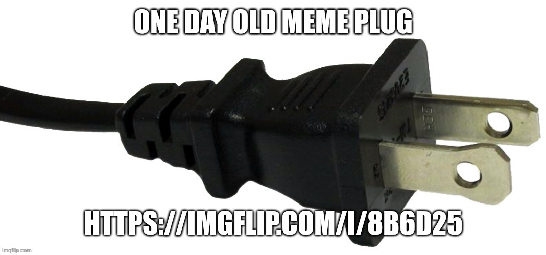 plug | ONE DAY OLD MEME PLUG; HTTPS://IMGFLIP.COM/I/8B6D25 | image tagged in plug | made w/ Imgflip meme maker