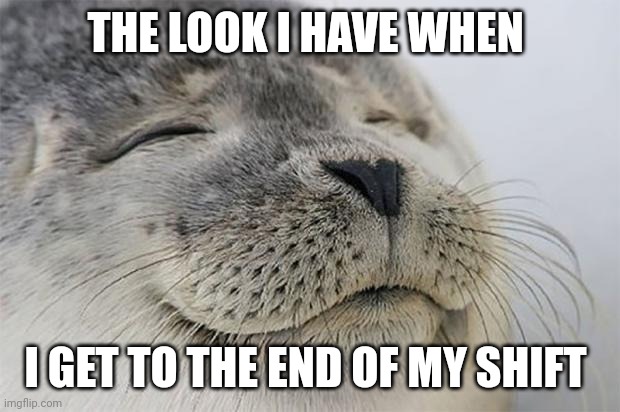 End of work day | THE LOOK I HAVE WHEN; I GET TO THE END OF MY SHIFT | image tagged in memes,satisfied seal,funny memes | made w/ Imgflip meme maker