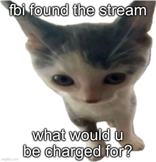 bartholomäus gilbert jr | fbi found the stream; what would u be charged for? | image tagged in bartholom us gilbert jr | made w/ Imgflip meme maker