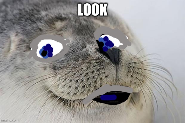 The satisfied seal doesn't look ugaly | LOOK | image tagged in memes,satisfied seal | made w/ Imgflip meme maker
