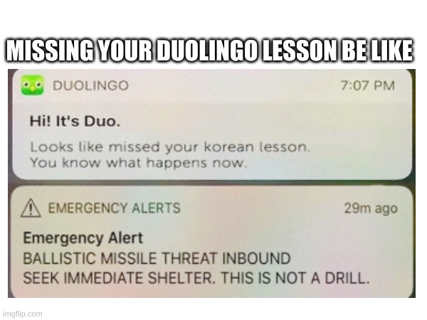 MISSING YOUR DUOLINGO LESSON BE LIKE | image tagged in duolingo,fun | made w/ Imgflip meme maker