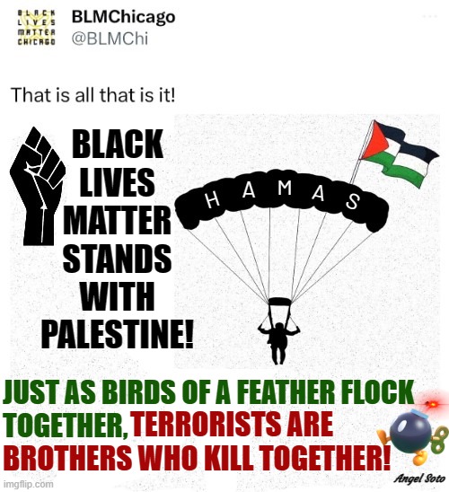 blm stands with palestine | JUST AS BIRDS OF A FEATHER FLOCK
TOGETHER, TERRORISTS ARE
BROTHERS WHO KILL TOGETHER! Angel Soto | image tagged in blm stands with palestine,blm,hamas,palestine,terrorists,birds of a feather | made w/ Imgflip meme maker