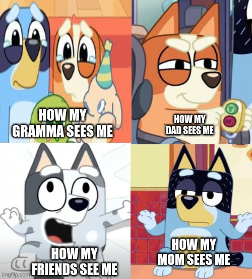 HOW MY GRAMMA SEES ME; HOW MY DAD SEES ME; HOW MY MOM SEES ME; HOW MY FRIENDS SEE ME | made w/ Imgflip meme maker