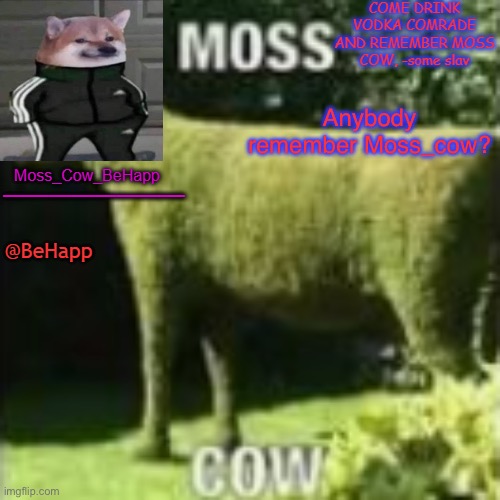 Moss_Cow_BeHapp's announcement templates | Anybody remember Moss_cow? | image tagged in moss_cow_behapp's announcement templates | made w/ Imgflip meme maker
