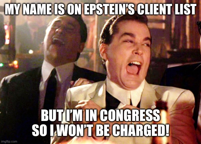 Two-tiered justice system, anyone? | MY NAME IS ON EPSTEIN’S CLIENT LIST; BUT I’M IN CONGRESS SO I WON’T BE CHARGED! | image tagged in memes,good fellas hilarious | made w/ Imgflip meme maker