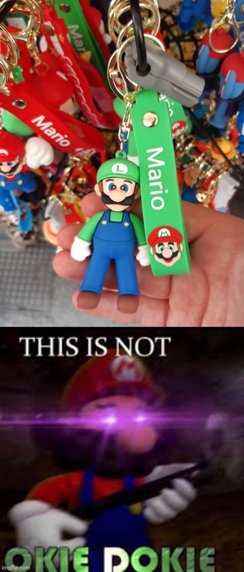 Mario, Luigi | image tagged in this is not okie dokie,mario,luigi,you had one job,memes,keychain | made w/ Imgflip meme maker