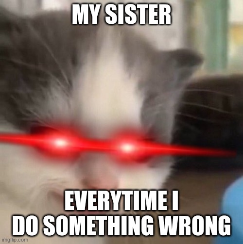 Not Hehe | MY SISTER; EVERYTIME I DO SOMETHING WRONG | image tagged in not hehe | made w/ Imgflip meme maker