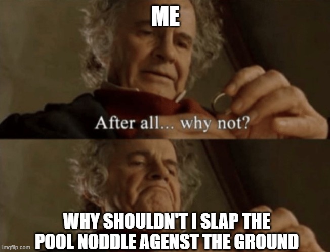 After all.. why not? | ME; WHY SHOULDN'T I SLAP THE POOL NODDLE AGENST THE GROUND | image tagged in after all why not | made w/ Imgflip meme maker